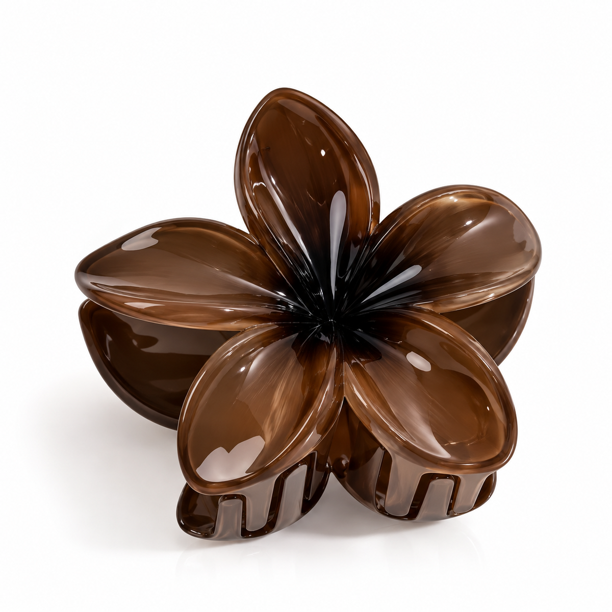 Cocoa Bloom